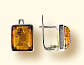 21310134